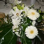 Costa Linda 호텔 2*