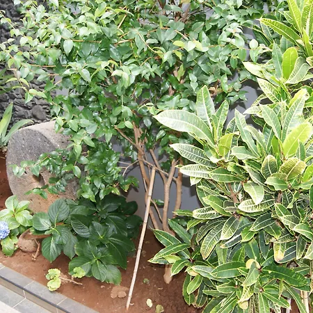 Costa Linda Szálloda 2*