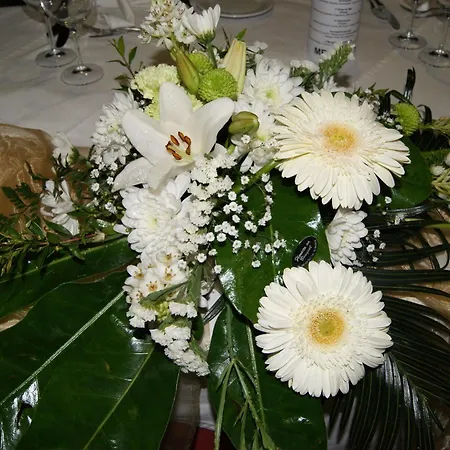 Costa Linda 2*