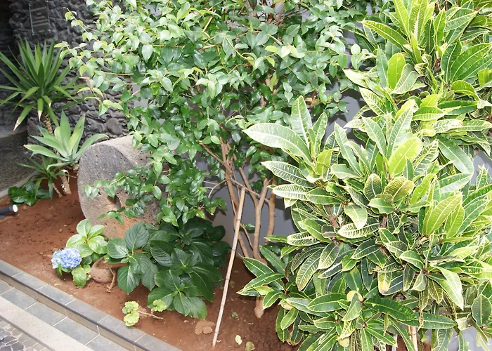 Costa Linda Hotel 2*